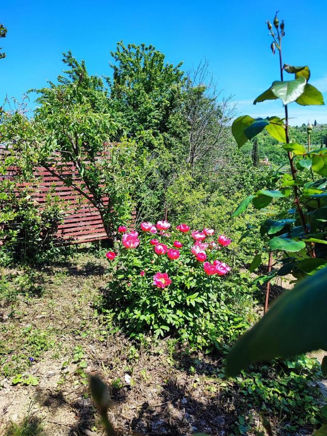 Apartment Dedo, Salara Farmhouse Koper Eksteriør billede