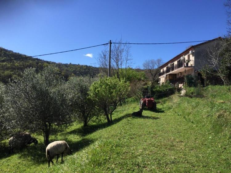 Apartment Dedo, Salara Farmhouse Koper Eksteriør billede